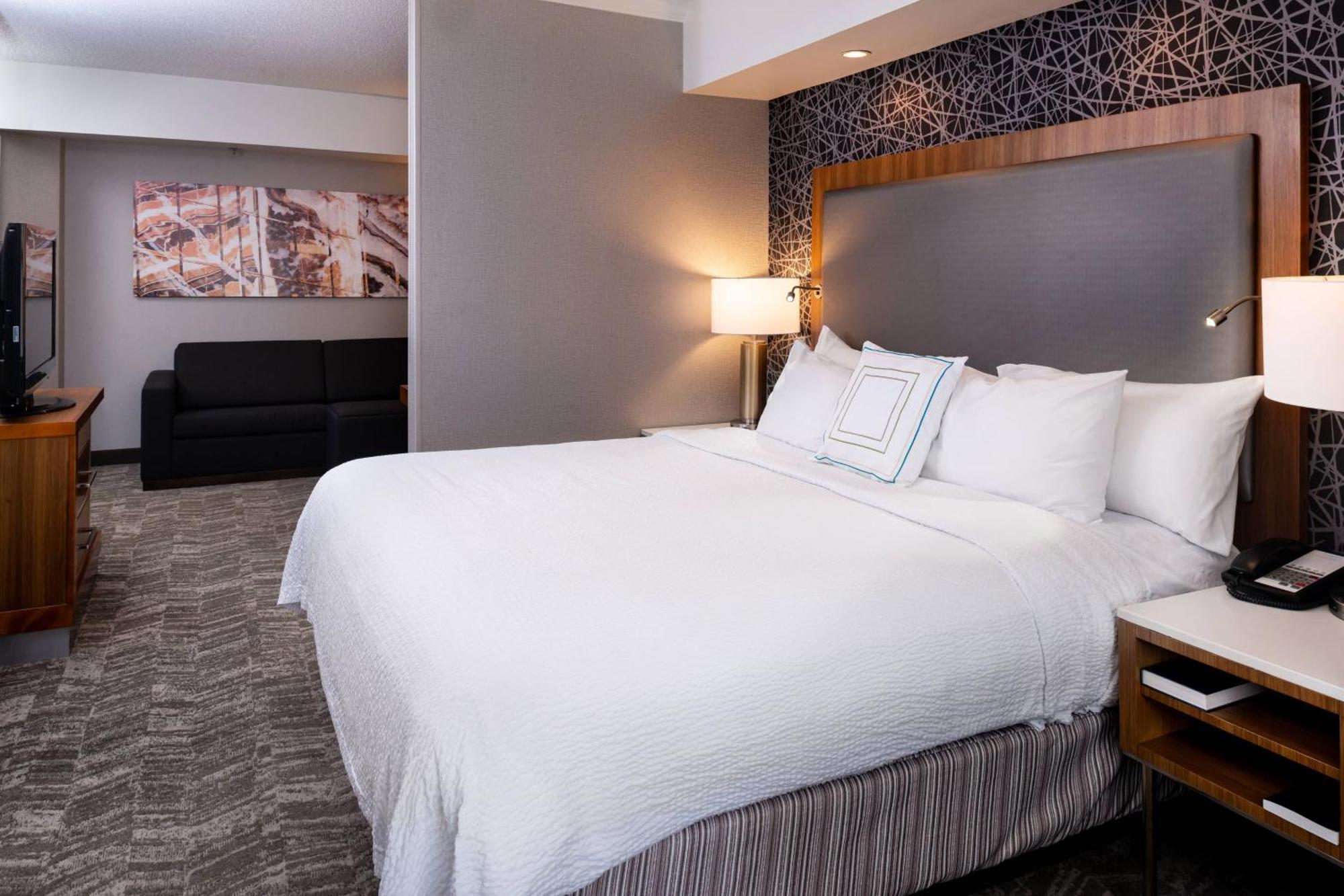 Springhill Suites By Marriott Pittsburgh North Shore Extérieur photo