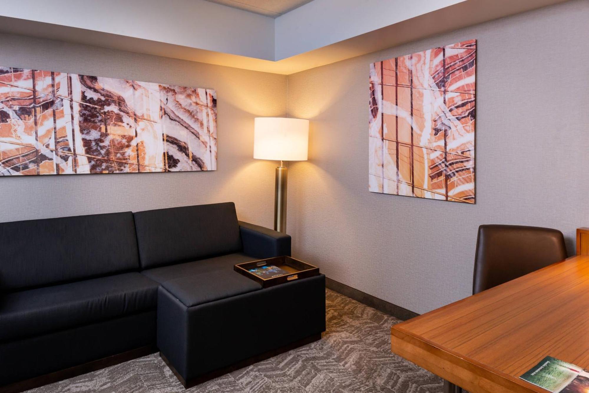 Springhill Suites By Marriott Pittsburgh North Shore Extérieur photo